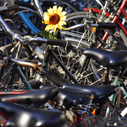 Bild Aktive Mobilität – internationaler Workshop im frühwinterlichen Tutzing