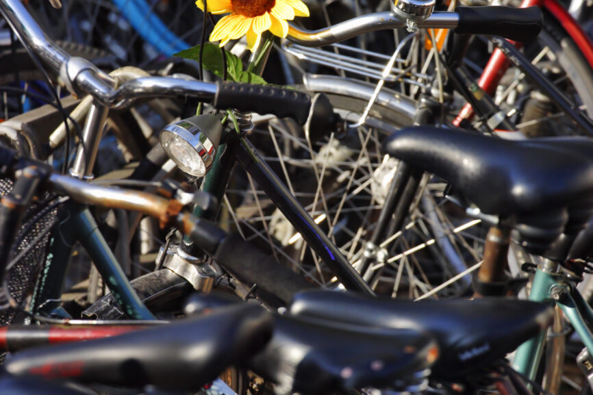 Bild Aktive Mobilität – internationaler Workshop im frühwinterlichen Tutzing