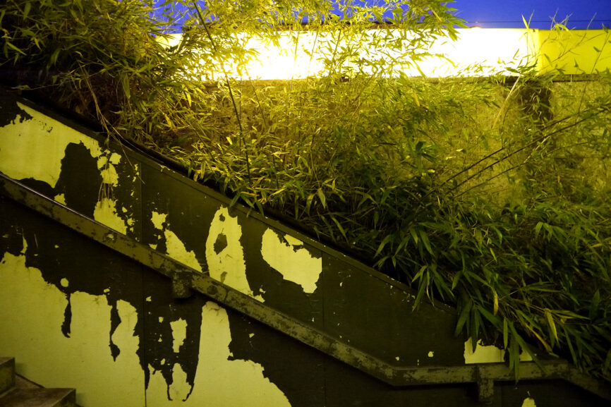 Bild Melbourne, Köln, New York: Stadtraum im Wandel