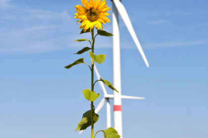 Bild Energiewende im ländlichen Raum