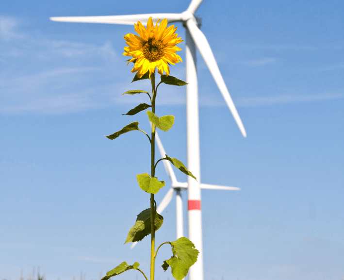 Bild Energiewende im ländlichen Raum