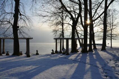 Bild Advent