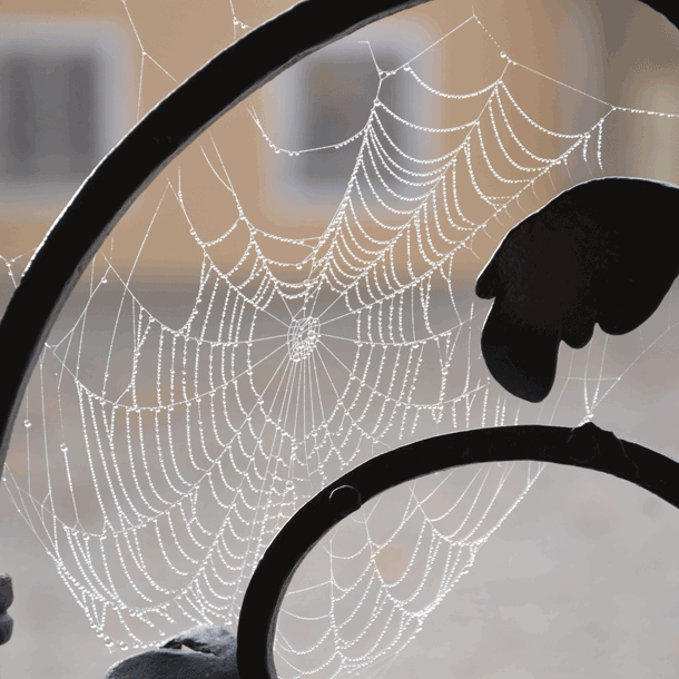 Bild Neuer Web-Auftritt der Akademie