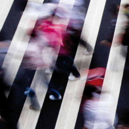 Bild Master plans, they have no style