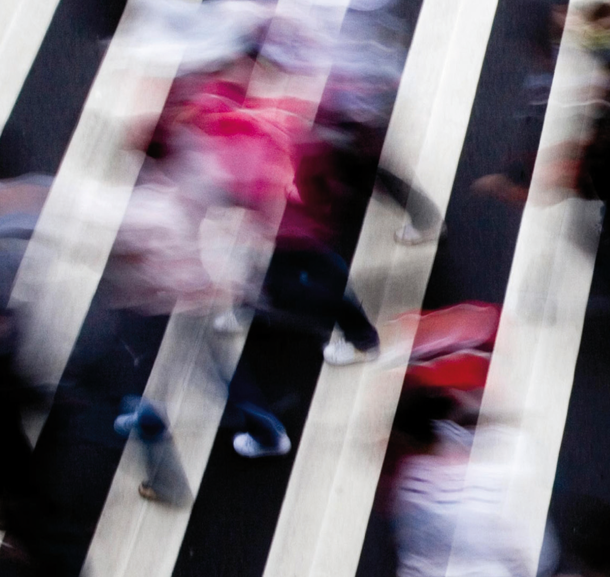 Bild Master plans, they have no style