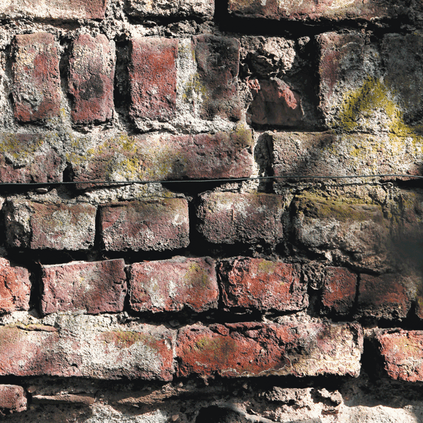 Bild Gestern und Morgen. Erinnerung im Diskurs