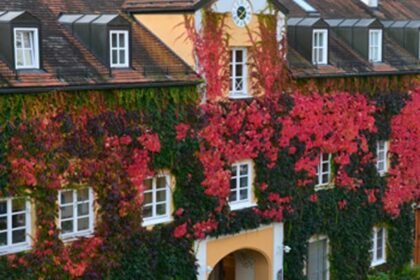 Bild Newsletter November 2017