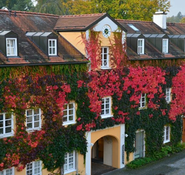 Bild Newsletter November 2017