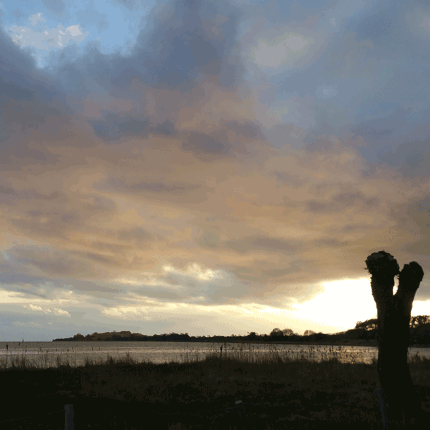 Bild Politik und Medien zur Selbstdisziplin aufgerufen