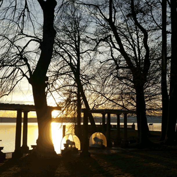 Bild Newsletter Januar 2018