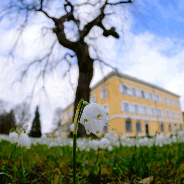 Bild Arbeit 4.0 – Digitale Ökonomie und Sozialstaat – Frühjahrstagung des Politischen Clubs