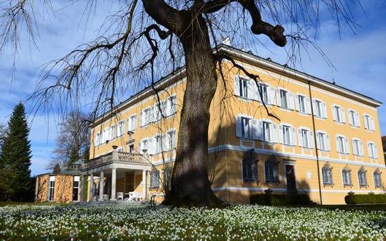 Bild Newsletter März 2018