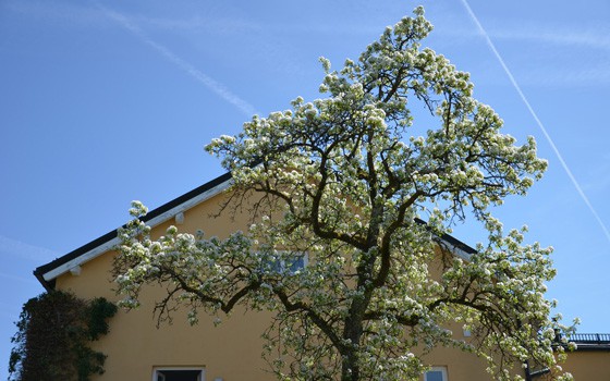 Bild Newsletter April 2018