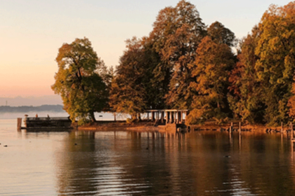 Bild Newsletter November 2018