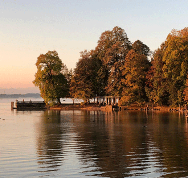 Bild Newsletter November 2018