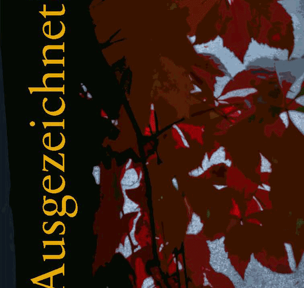 Bild Ausgezeichnet! – Gespräch mit den PreisträgerInnen des Bayerischen Buchpreises