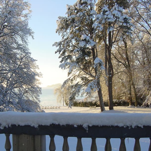 Bild Newsletter Januar 2019