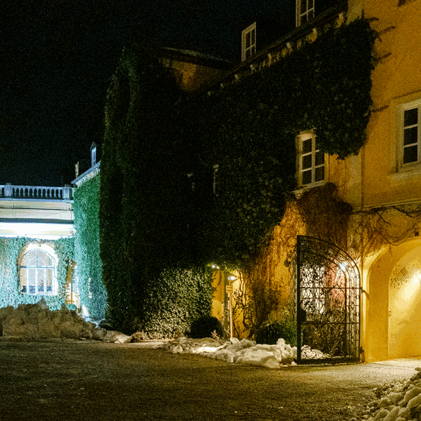 Bild Newsletter Februar 2019