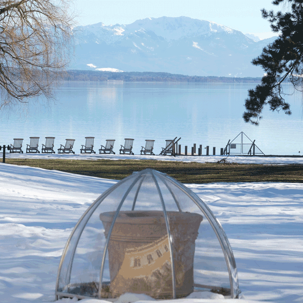 Bild Newsletter März 2019