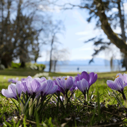 Bild Der geschärfte Sinn für den Genuss