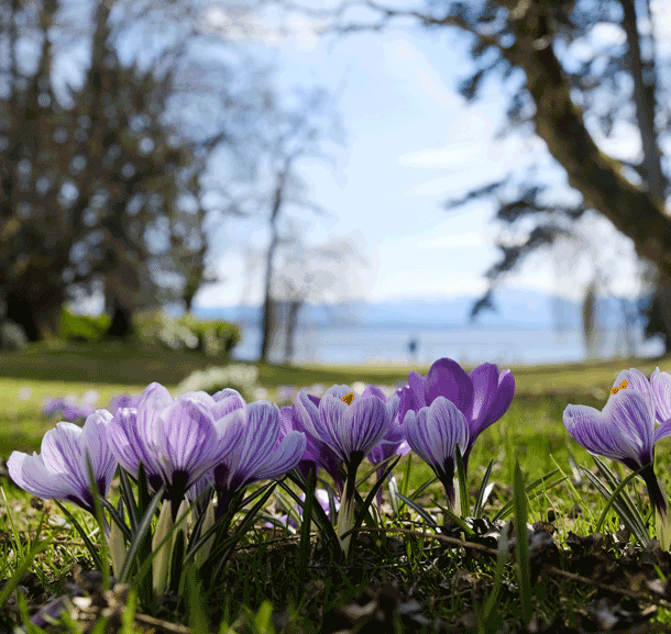 Bild Der geschärfte Sinn für den Genuss