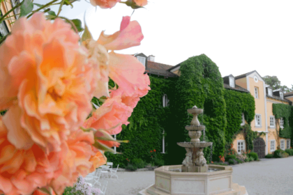 Bild Newsletter Juli 2019