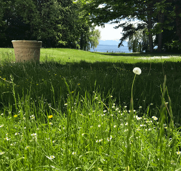 Bild Nachhaltigkeit an der Evangelischen Akademie Tutzing