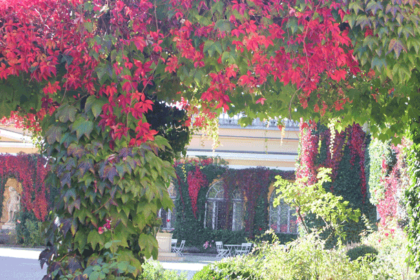 Bild Newsletter Oktober