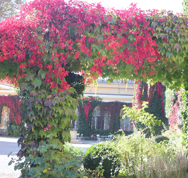 Bild Newsletter Oktober