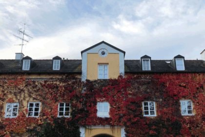 Bild Newsletter November 2019