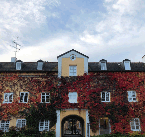 Bild Newsletter November 2019