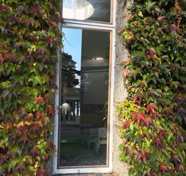 Bild Bauernverband, Landwirte und Kirche diskutieren in Tutzing