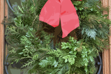 Bild Newsletter Dezember 2019