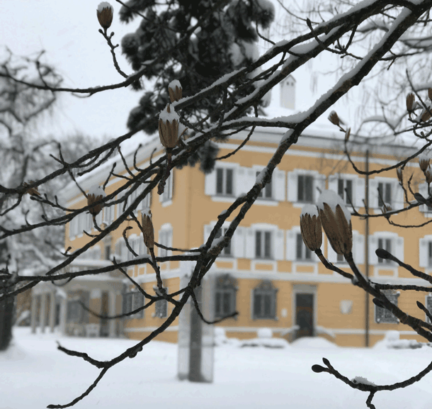 Bild Newsletter Januar 2020