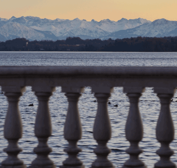 Bild Newsletter Februar 2020