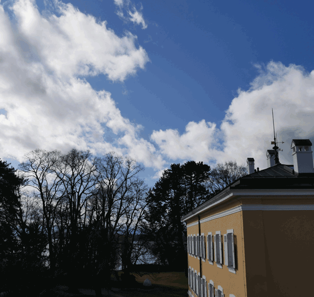 Bild Newsletter März 2020