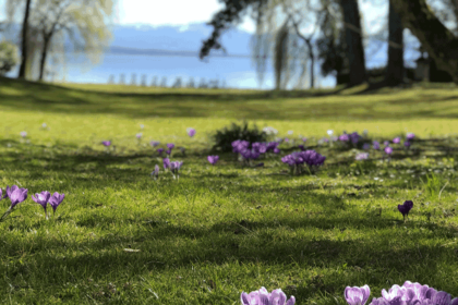 Bild Newsletter April 2020