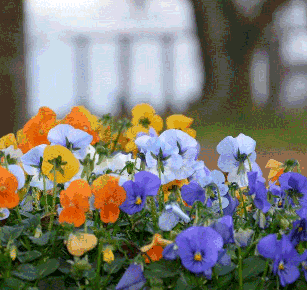 Bild „Das Schöne in den Blick nehmen“