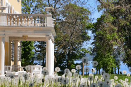 Bild Newsletter Juni 2020