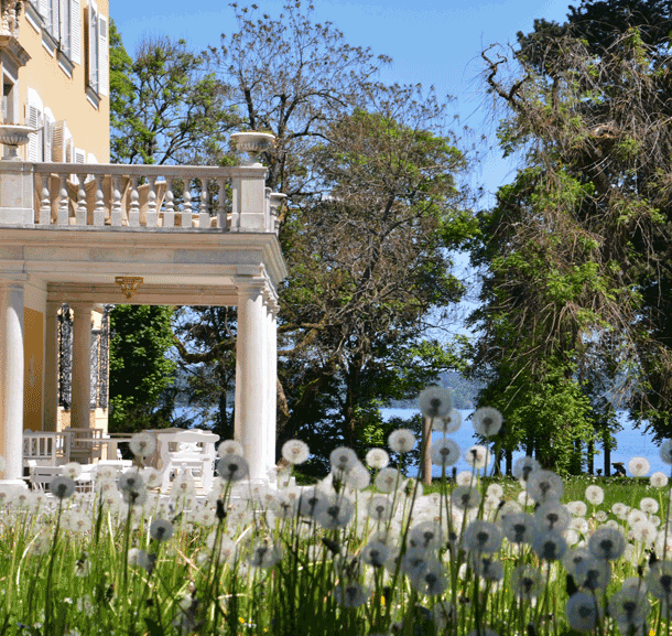 Bild Newsletter Juni 2020