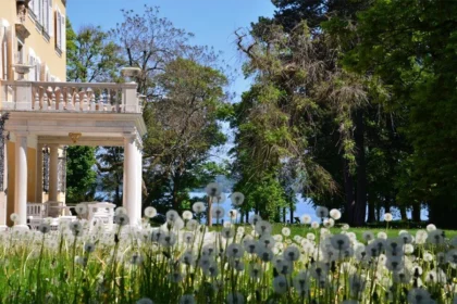 Schlosspark Tutzing Wildblumenwiese
