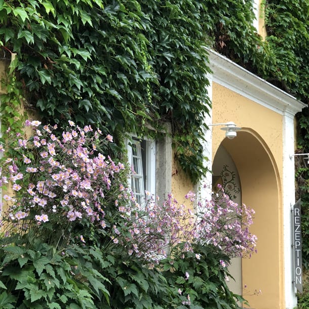 Bild Newsletter September 2020