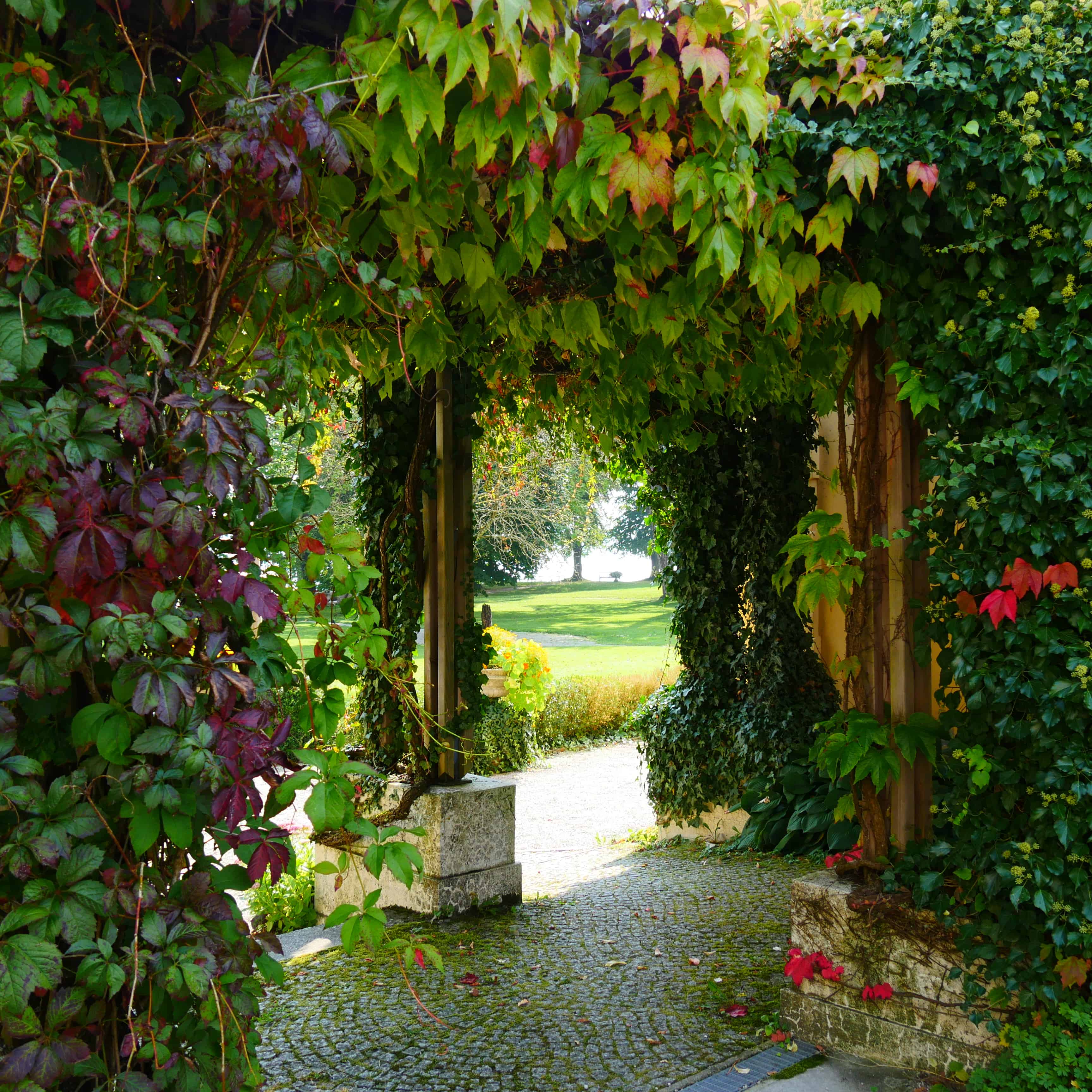 Bild Newsletter Oktober 2020