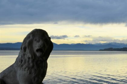 Bild Newsletter November 2020