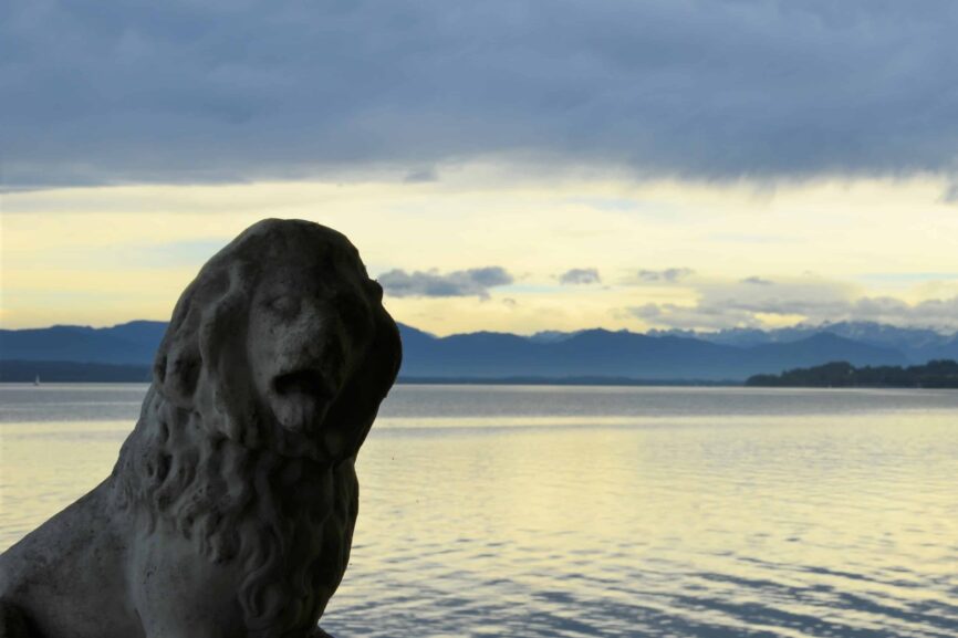 Bild Newsletter November 2020