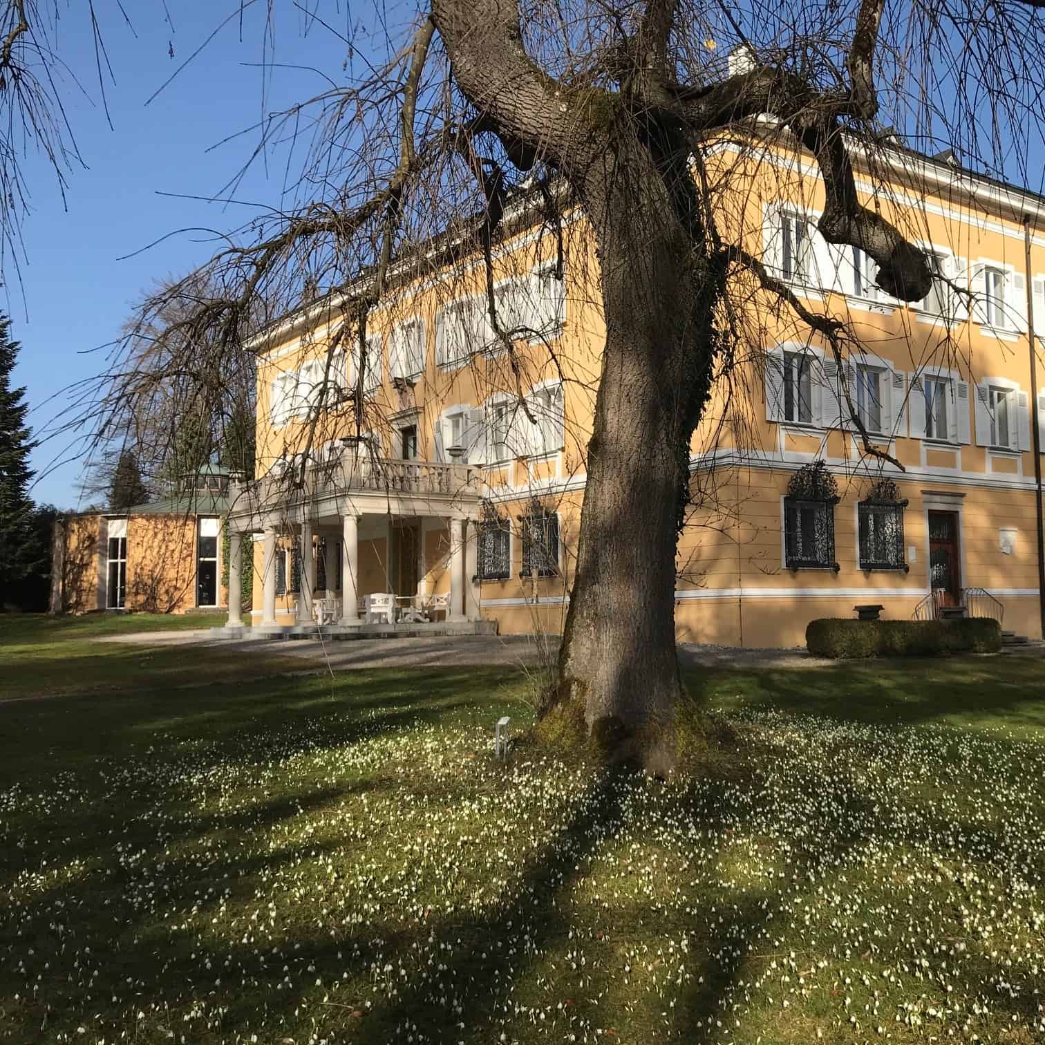 Bild Newsletter März 2021