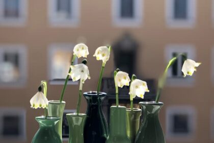 Frühling auf der Fensterbank