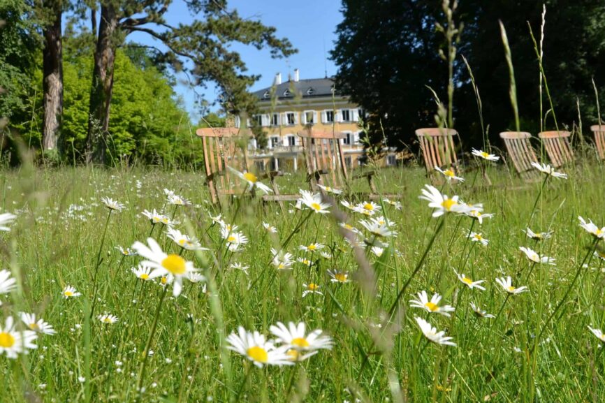 Blühende Natur im Schlosspark