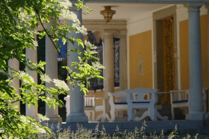 Wiesen, Bäume, Gräser, Natur, Schloss