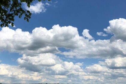 Bild Newsletter September 2021